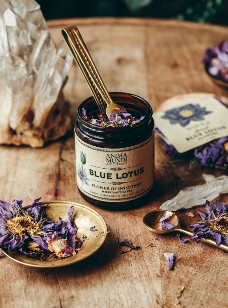 BLUE LOTUS: Flower of Intuition – The Balanced Market