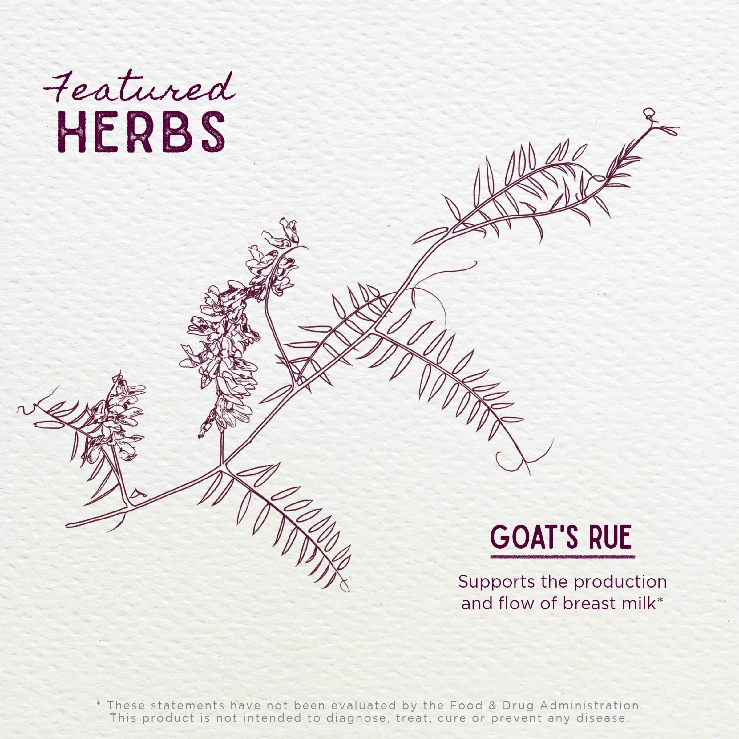 GOAT'S RUE LACTATION AID