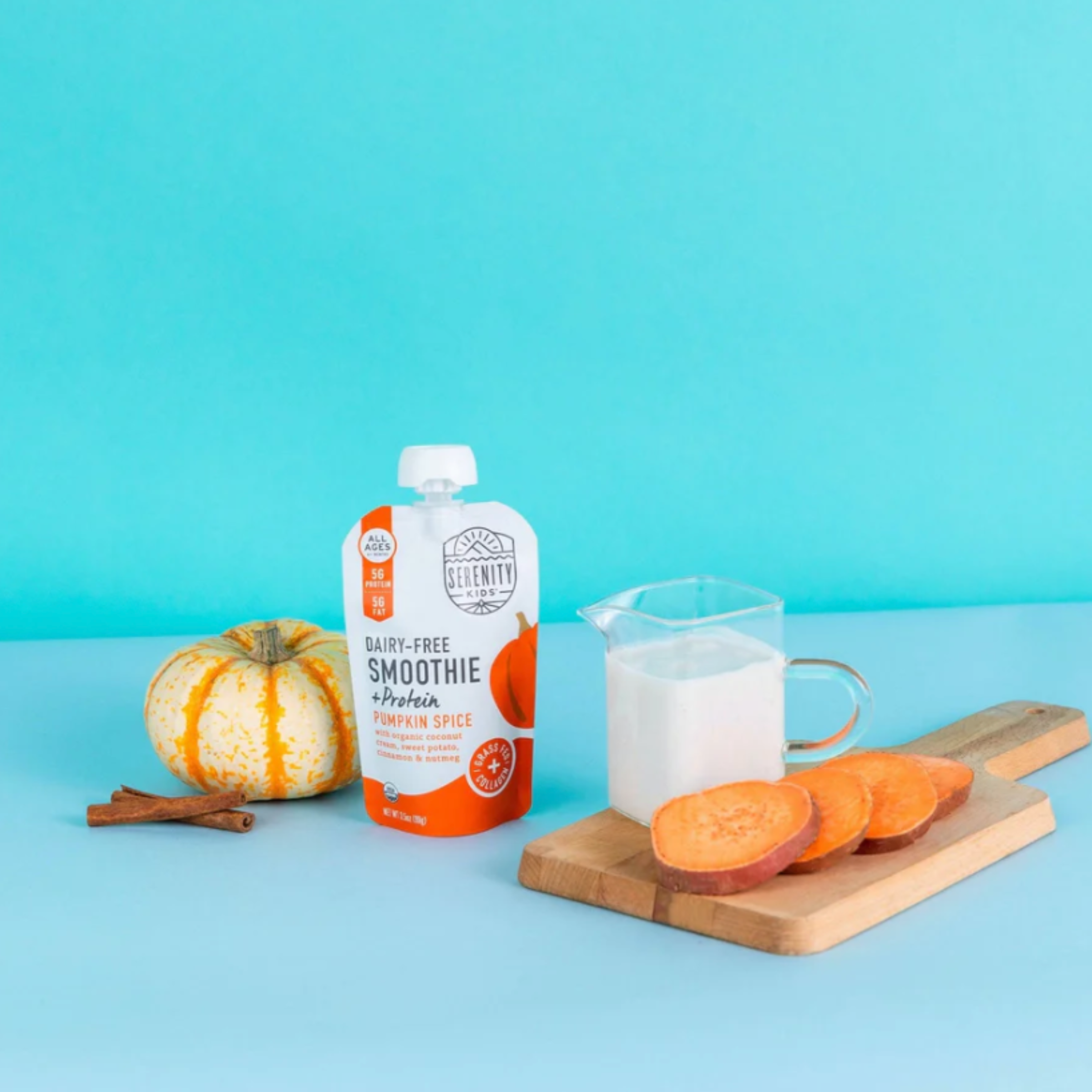 Pumpkin Spice Smoothie + Protein