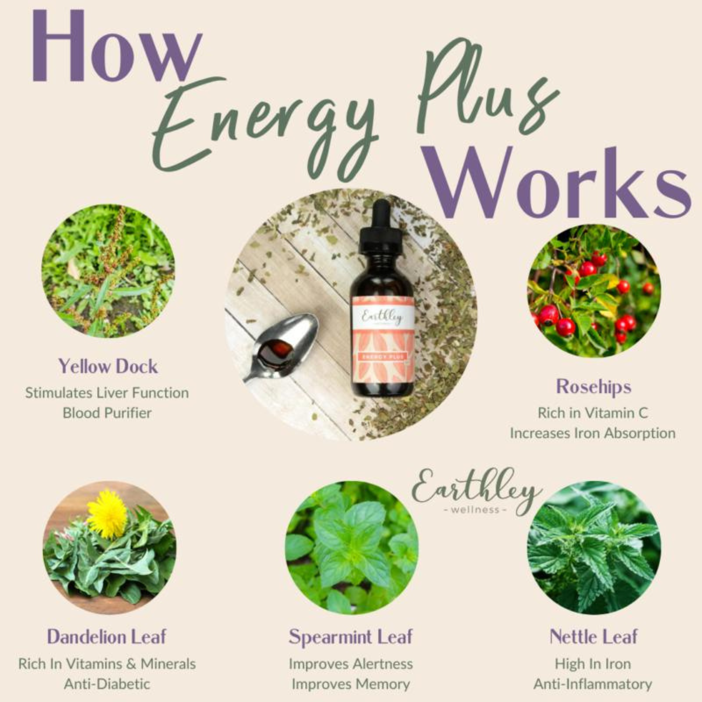 Energy Plus (Herbal Iron)