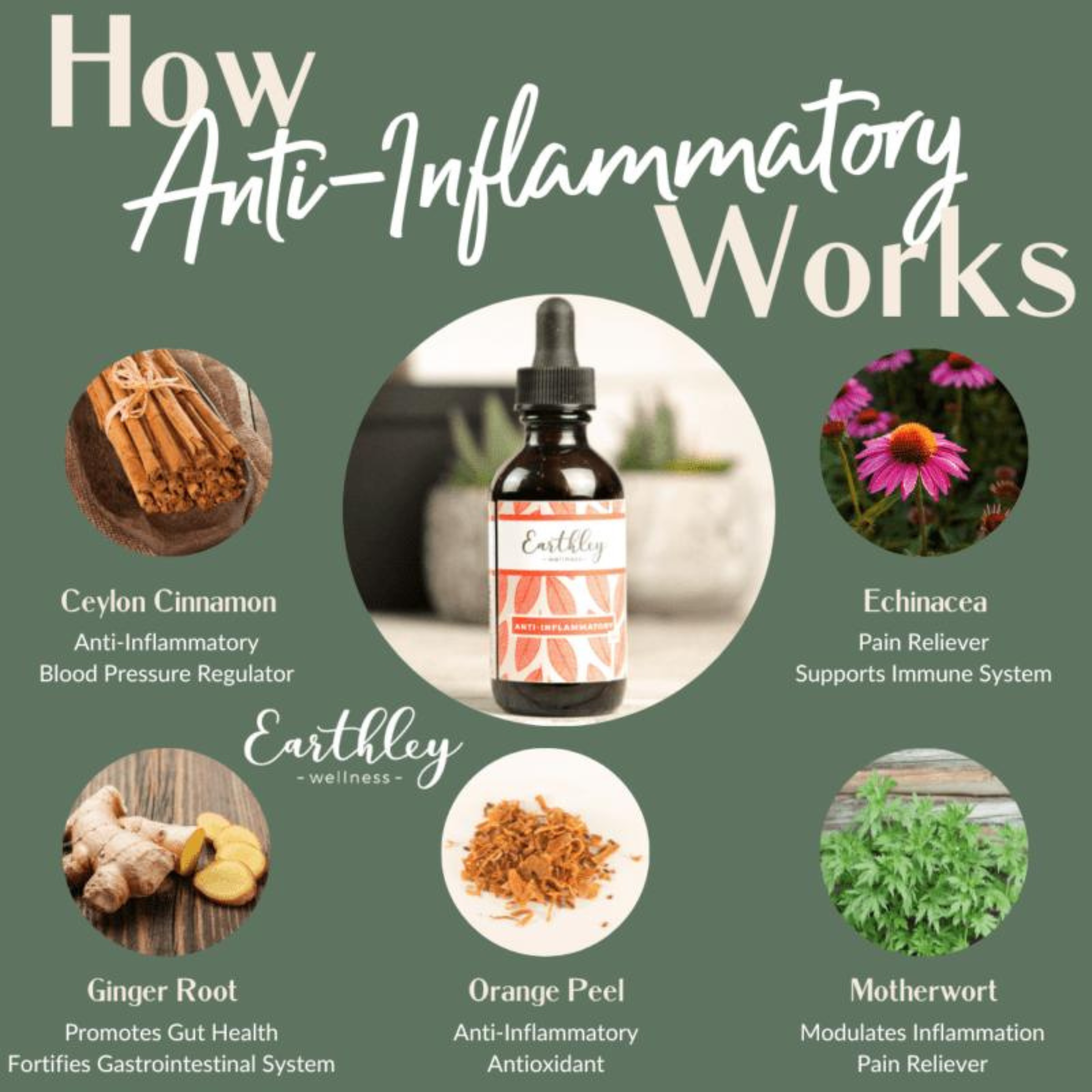 Anti-Inflammatory Herbal Extract