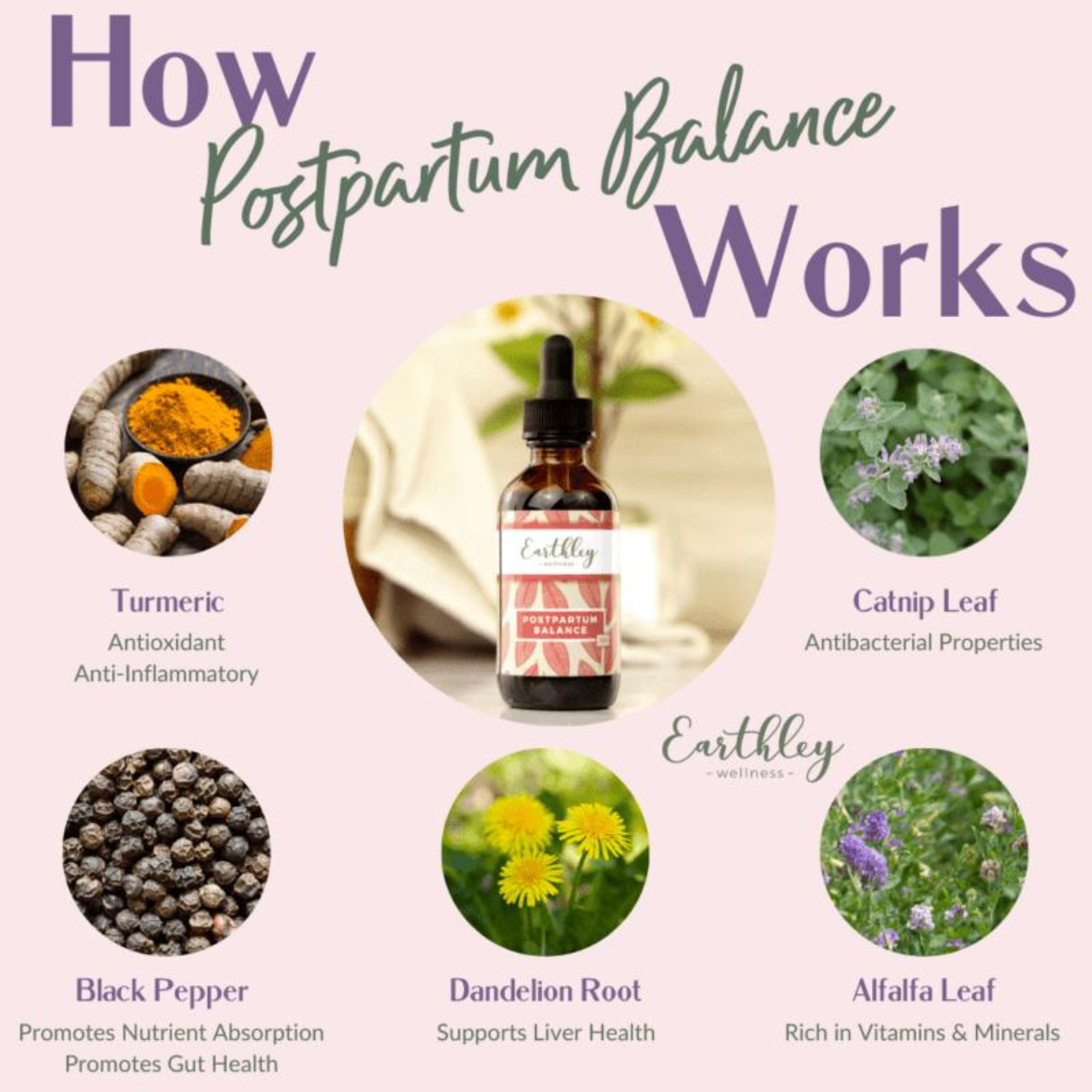 Postpartum Balance