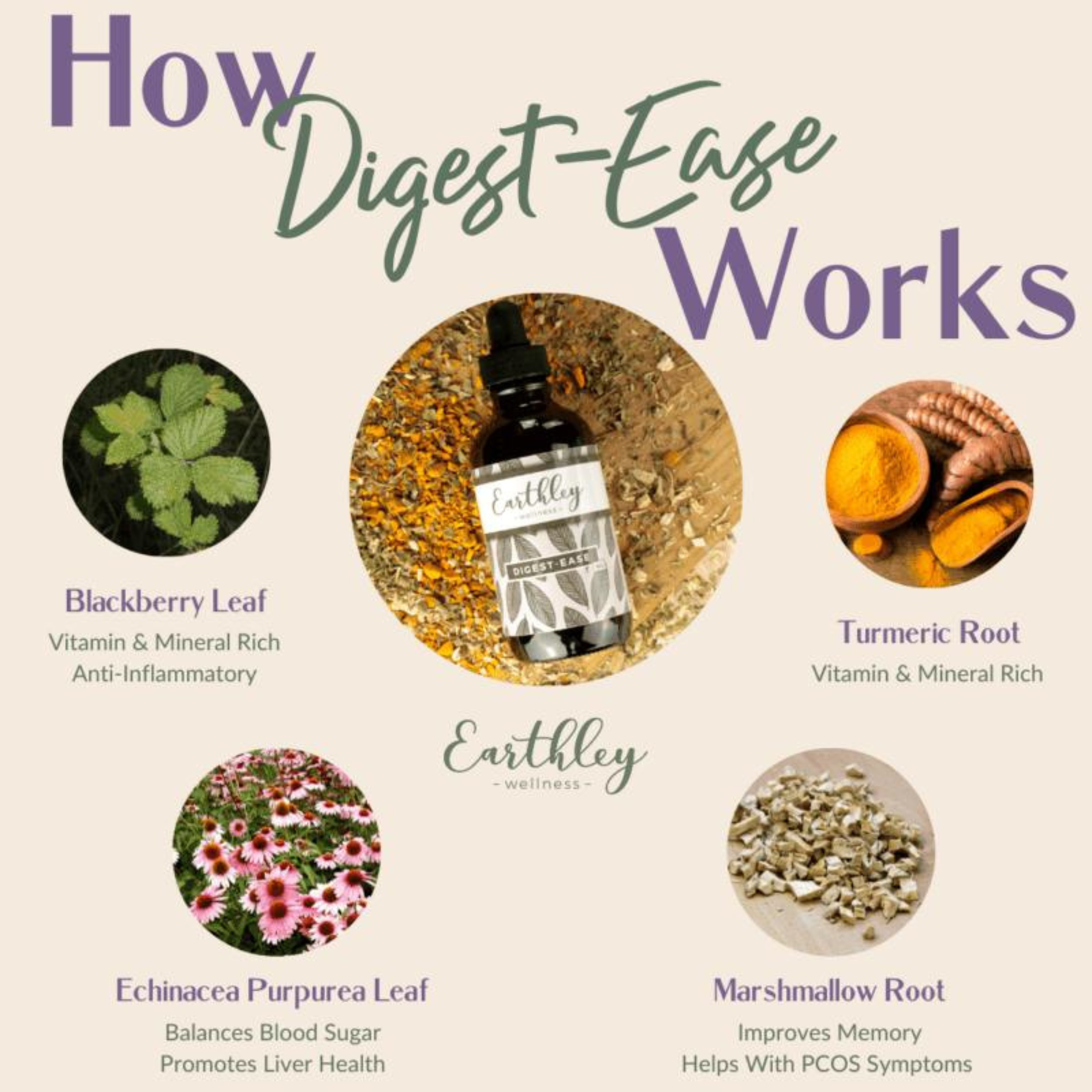 Digest Ease Herbal Extract