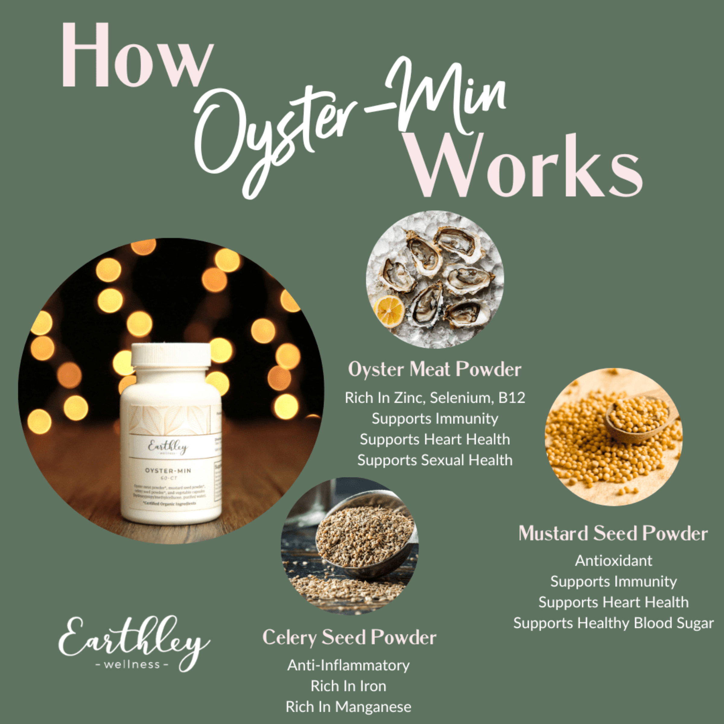 Oyster-Min – For Minerals and Hormone Balance