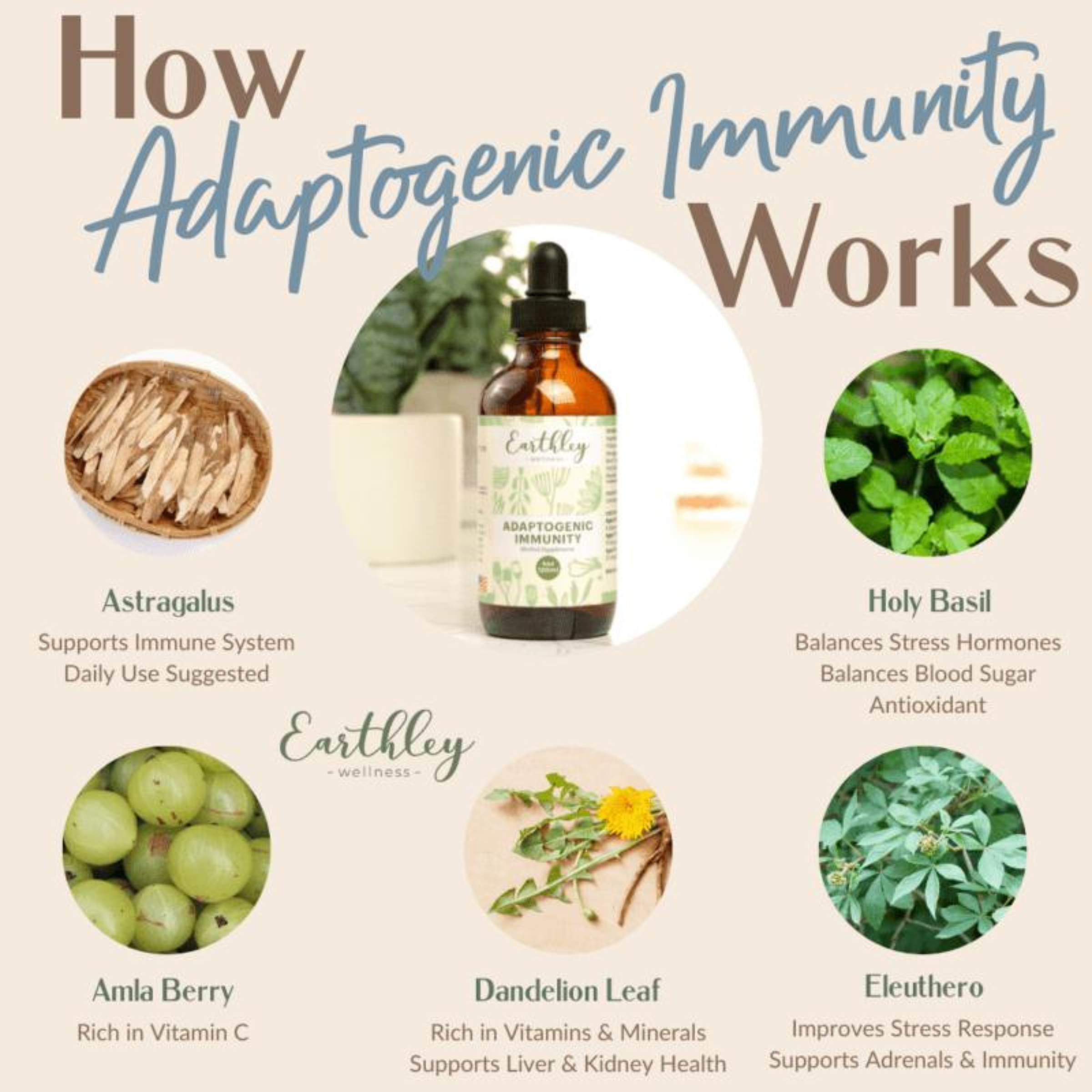 Adaptogenic Immunity