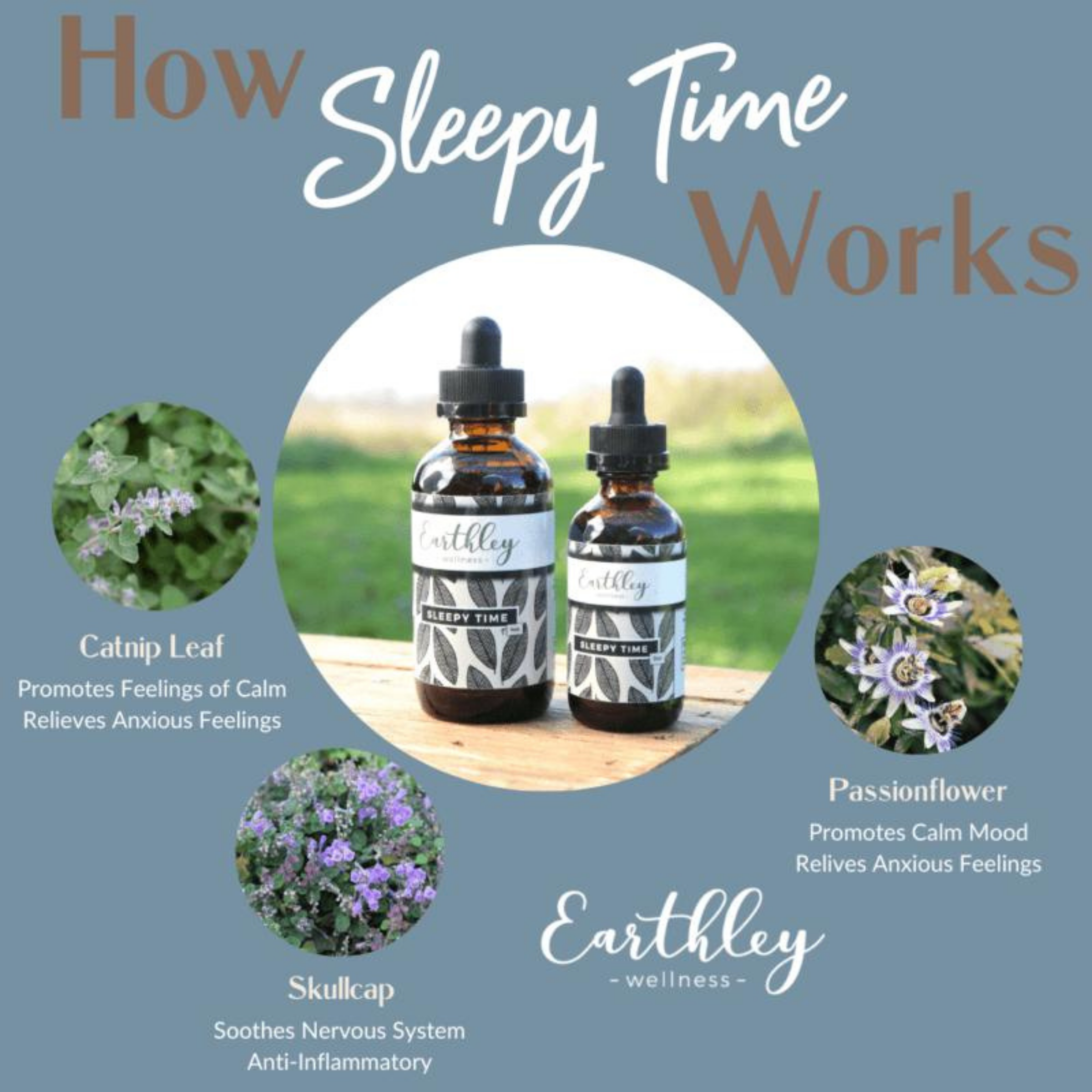 PRE ORDER - Sleepy Time Herbal Extract