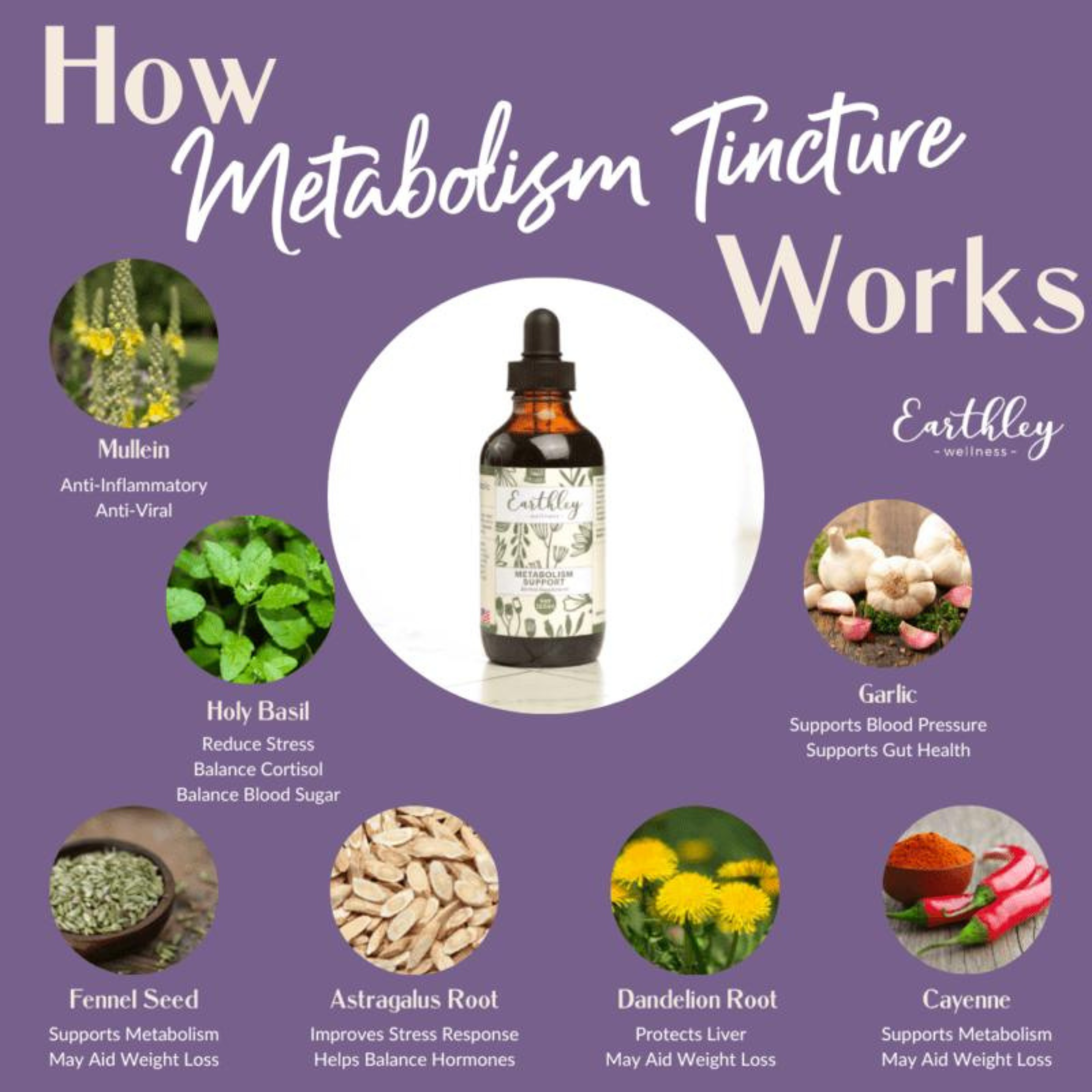 Metabolism Support Herbal Tincture