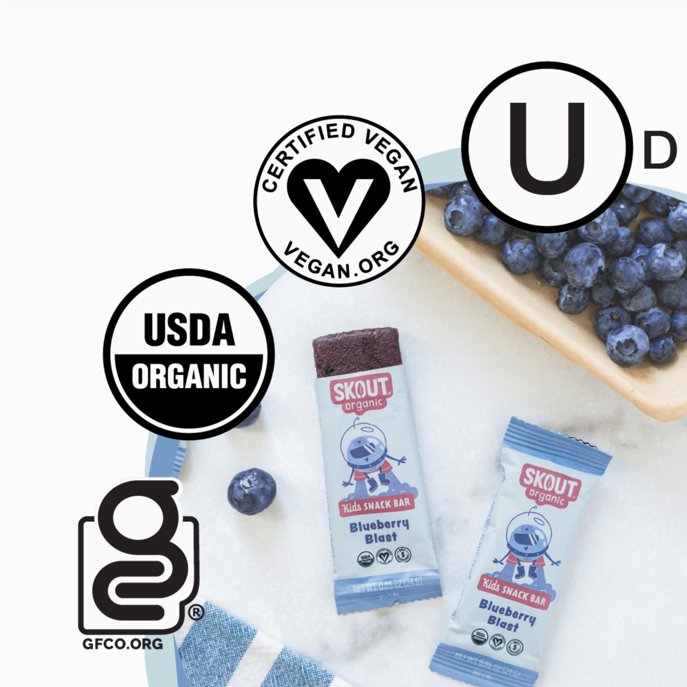 Organic Blueberry Blast Kids Bars