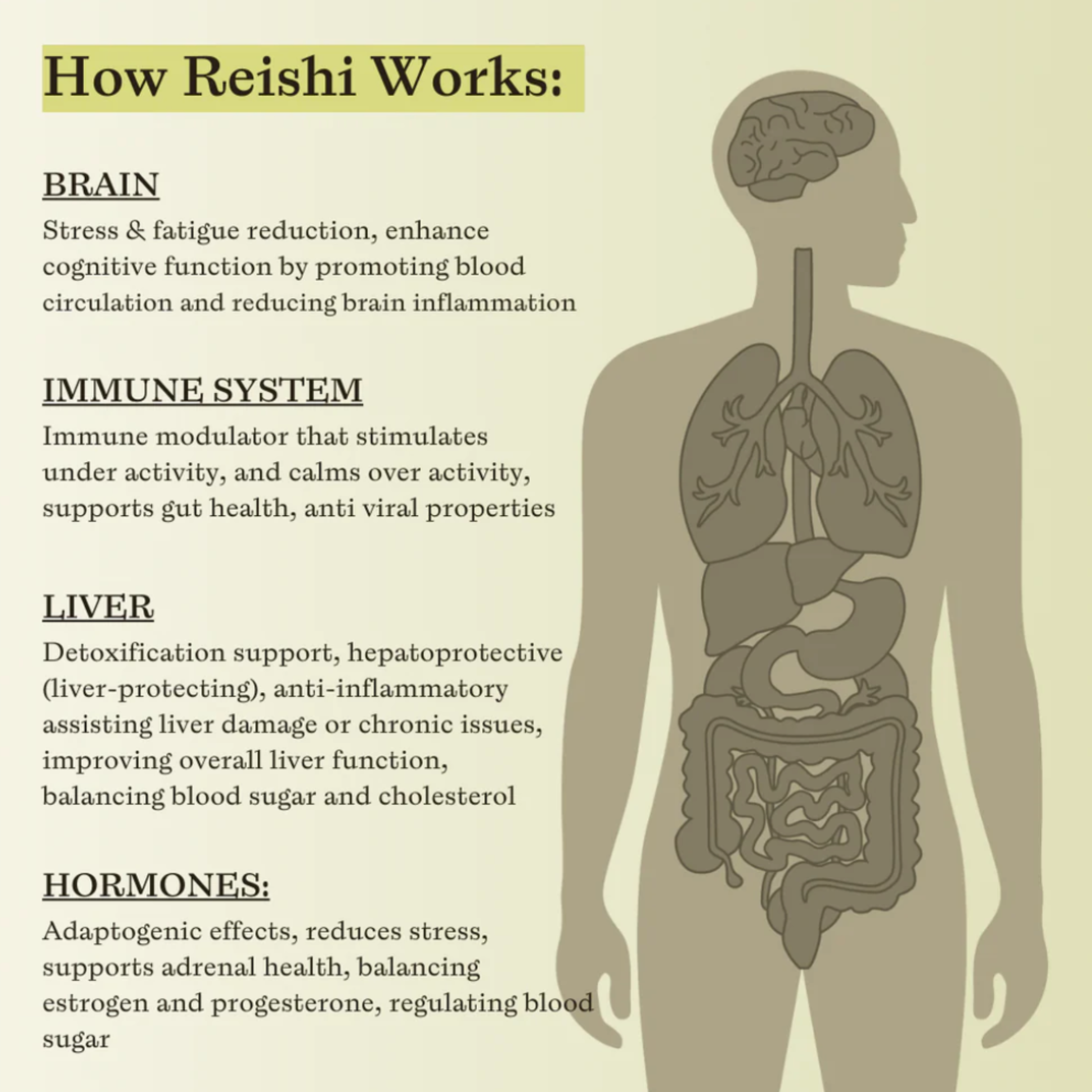 REISHI MUSHROOM TRIPLE EXTRACT