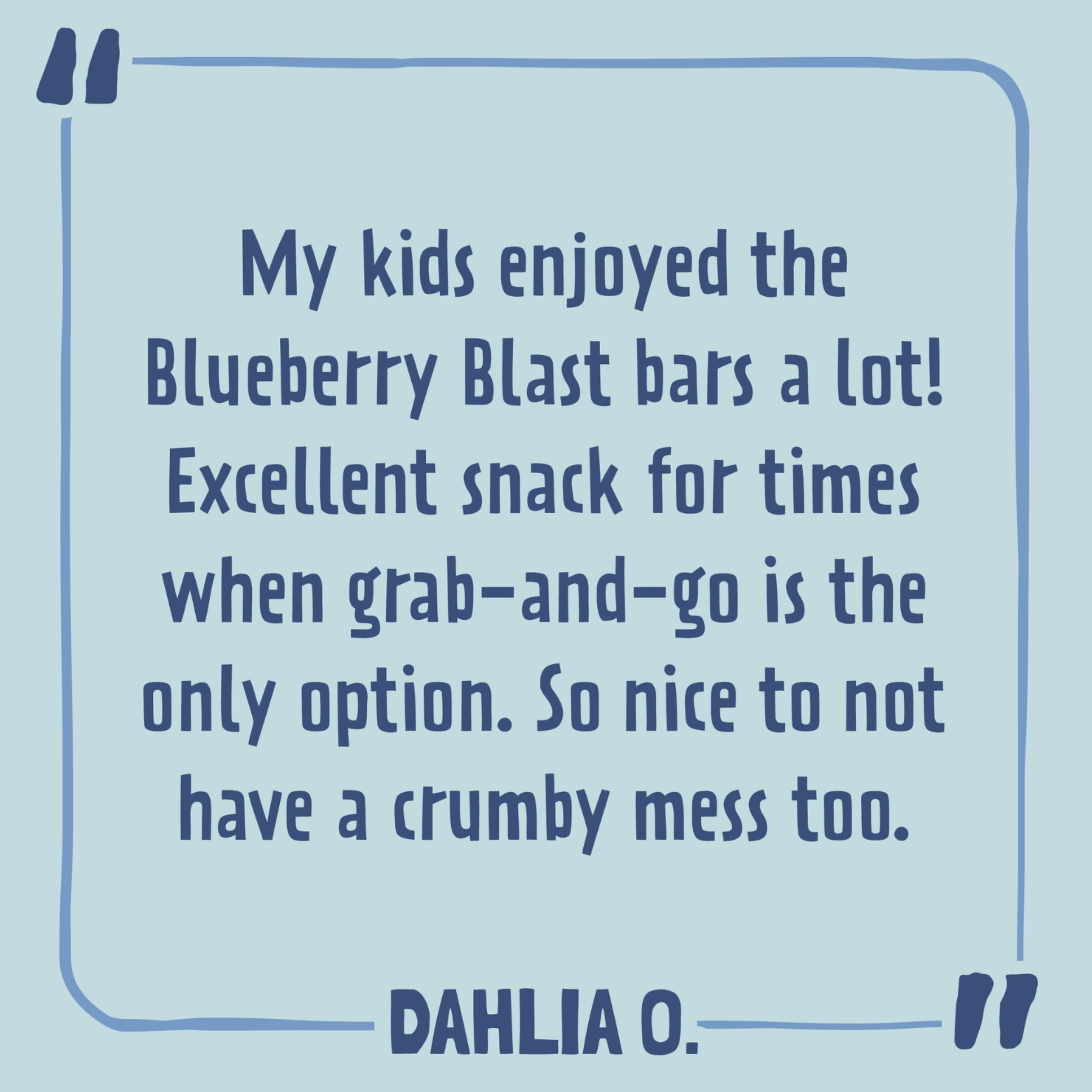 Organic Blueberry Blast Kids Bars