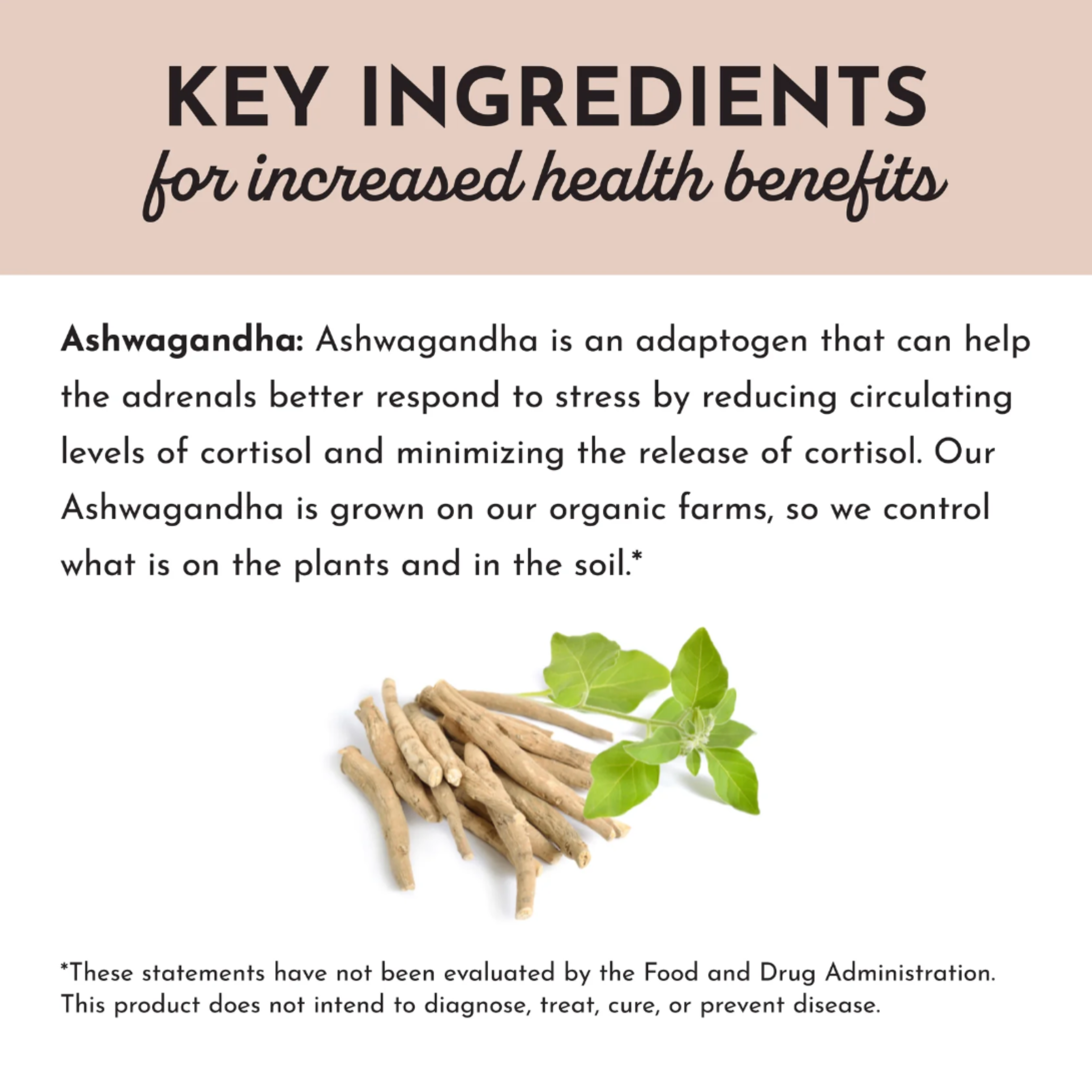 Ashwagandha biologique 