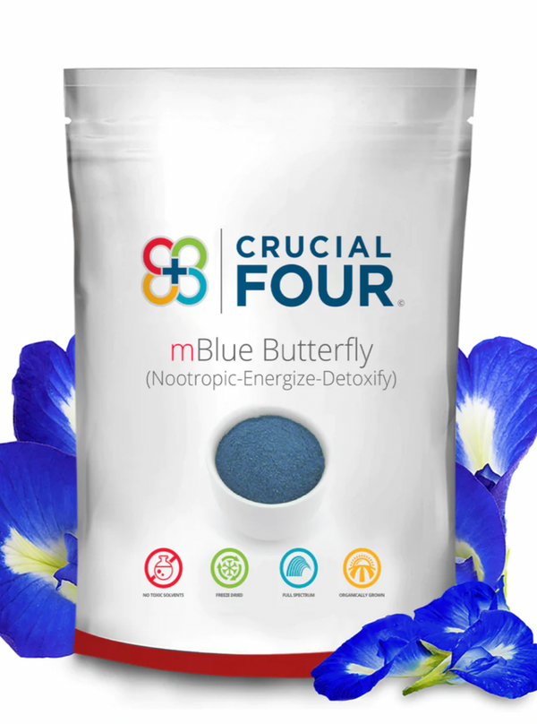 mBlue Butterfly - Blue Butterfly Pea Vine