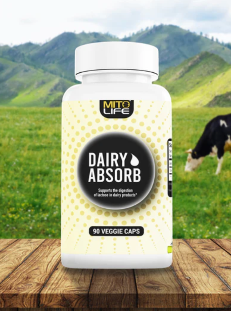 Dairy Absorb