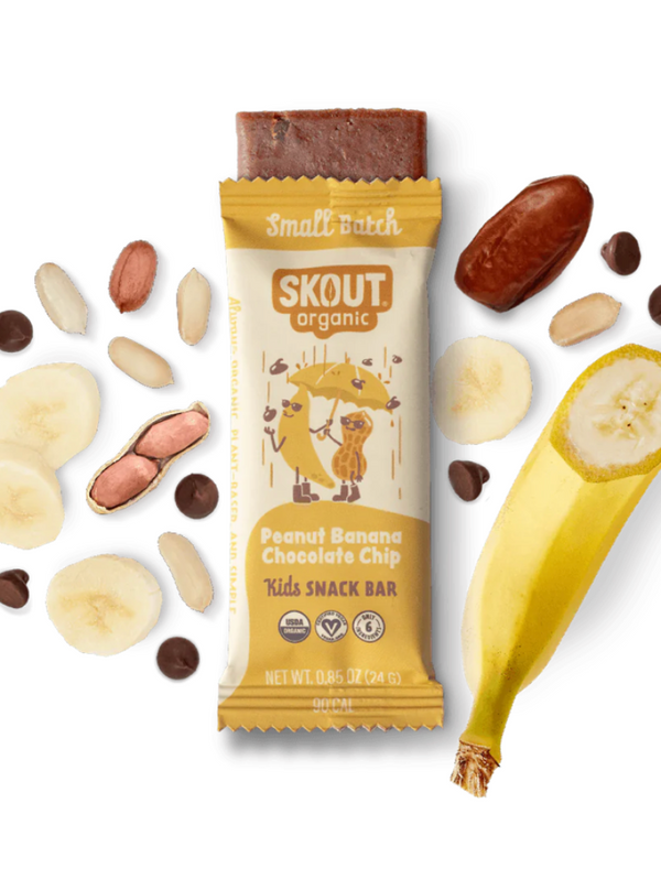 Organic Peanut Banana Chocolate Chip Kids Bar