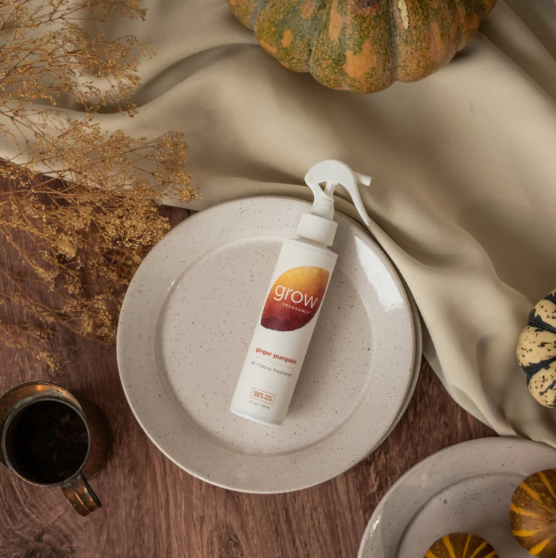 Ginger Pumpkin Air + Désodorisant pour tissus