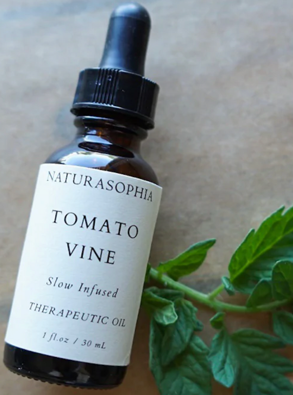 Tomato Vine - Therapeutic Oil