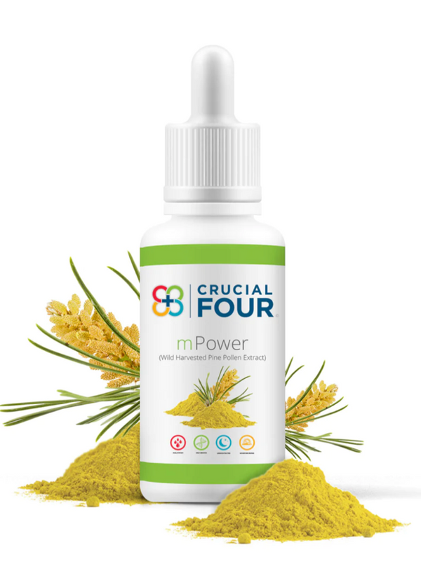 mPower - Extrait de pollen de pin sauvage récolté