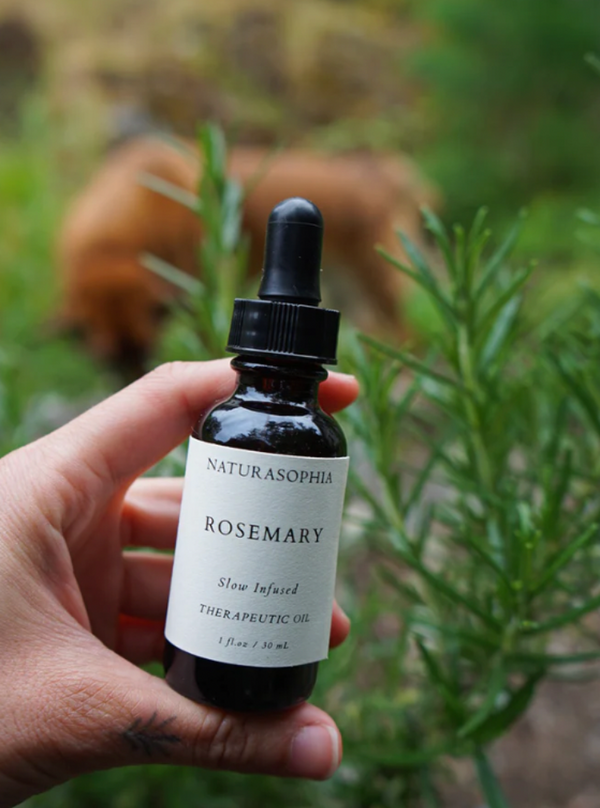 Rosemary - Therapeutic Oil